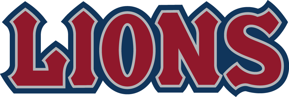 Loyola Marymount Lions 2008-2018 Wordmark Logo v2 DIY iron on transfer (heat transfer)